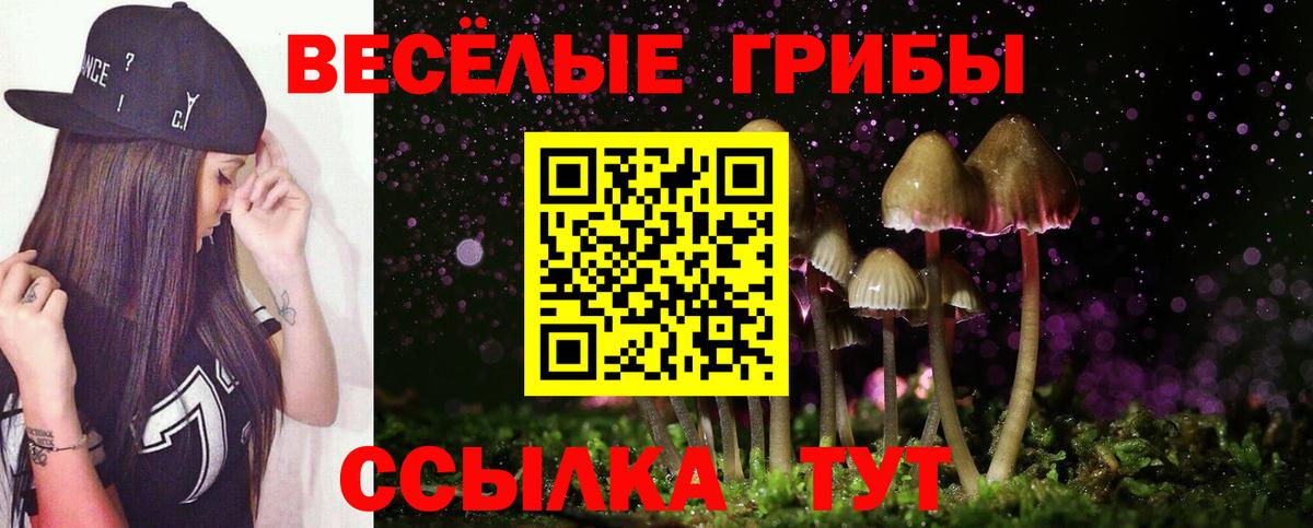Галлюциногенные грибы GOLDEN TEACHER Гусиноозёрск
